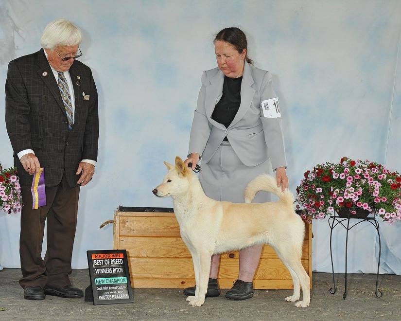 Kerrie's finishing photo July 2017